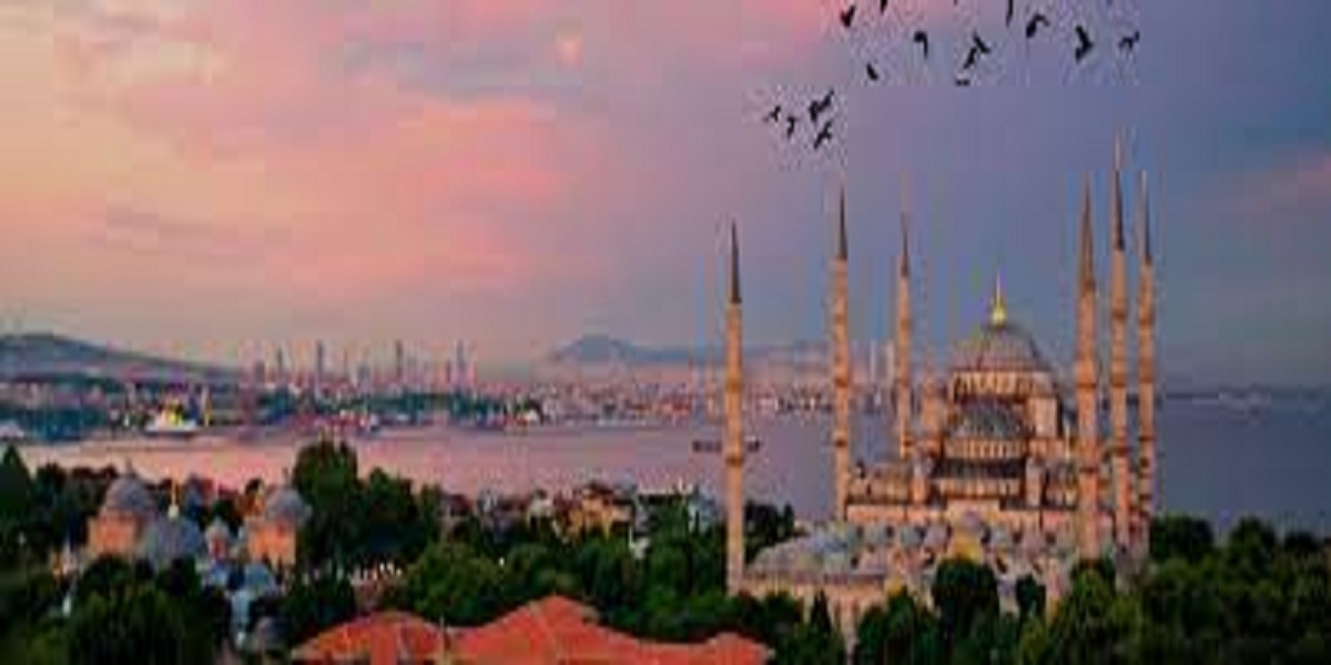 ISTANBUL 25th International Conference on “Innovations in Engineering, Technology & Health Sciences” (IIETH-23) Sept. 5-7, 2023 Istanbul (Turkiye)