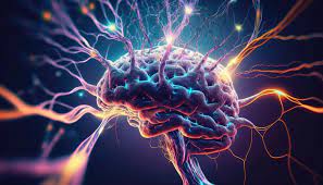 International Conference on Neurology & Psychiatry Research