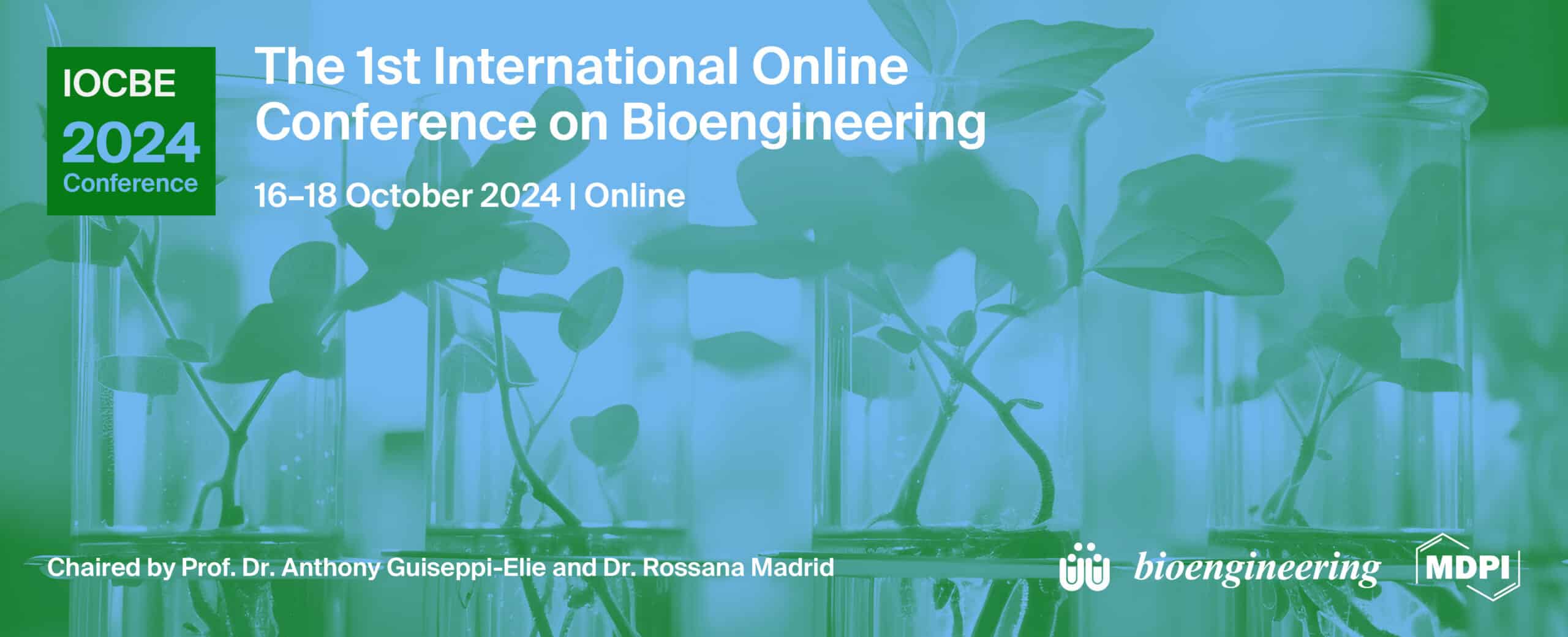 The 1st International Online Conference on Bioengineering
