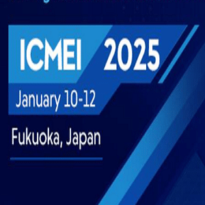 13th International Conference on Management and Education Innovation (ICMEI 2025)