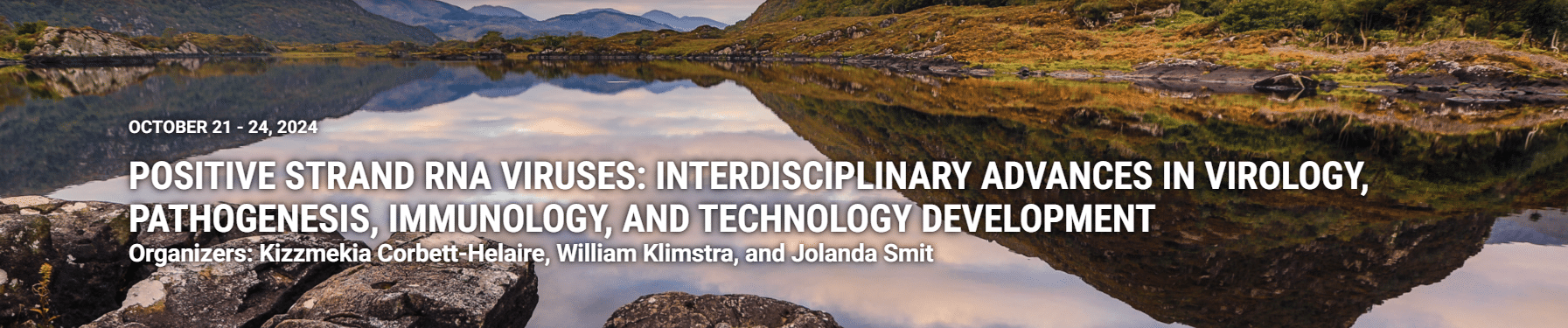 POSITIVE STRAND RNA VIRUSES: INTERDISCIPLINARY ADVANCES IN VIROLOGY, PATHOGENESIS, IMMUNOLOGY, AND TECHNOLOGY DEVELOPMENT