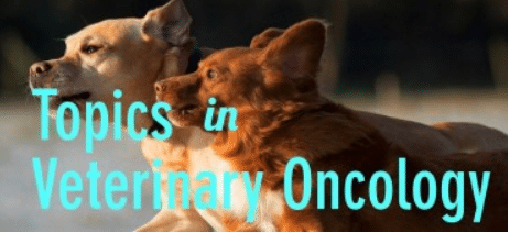 Topics in Veterinary Oncology International Congress on Small Animal Clinical Oncology: Skin Tumors in Cats & Dogs