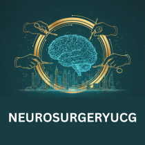 6th International Neurosurgery and Neurological Surgeons Conference