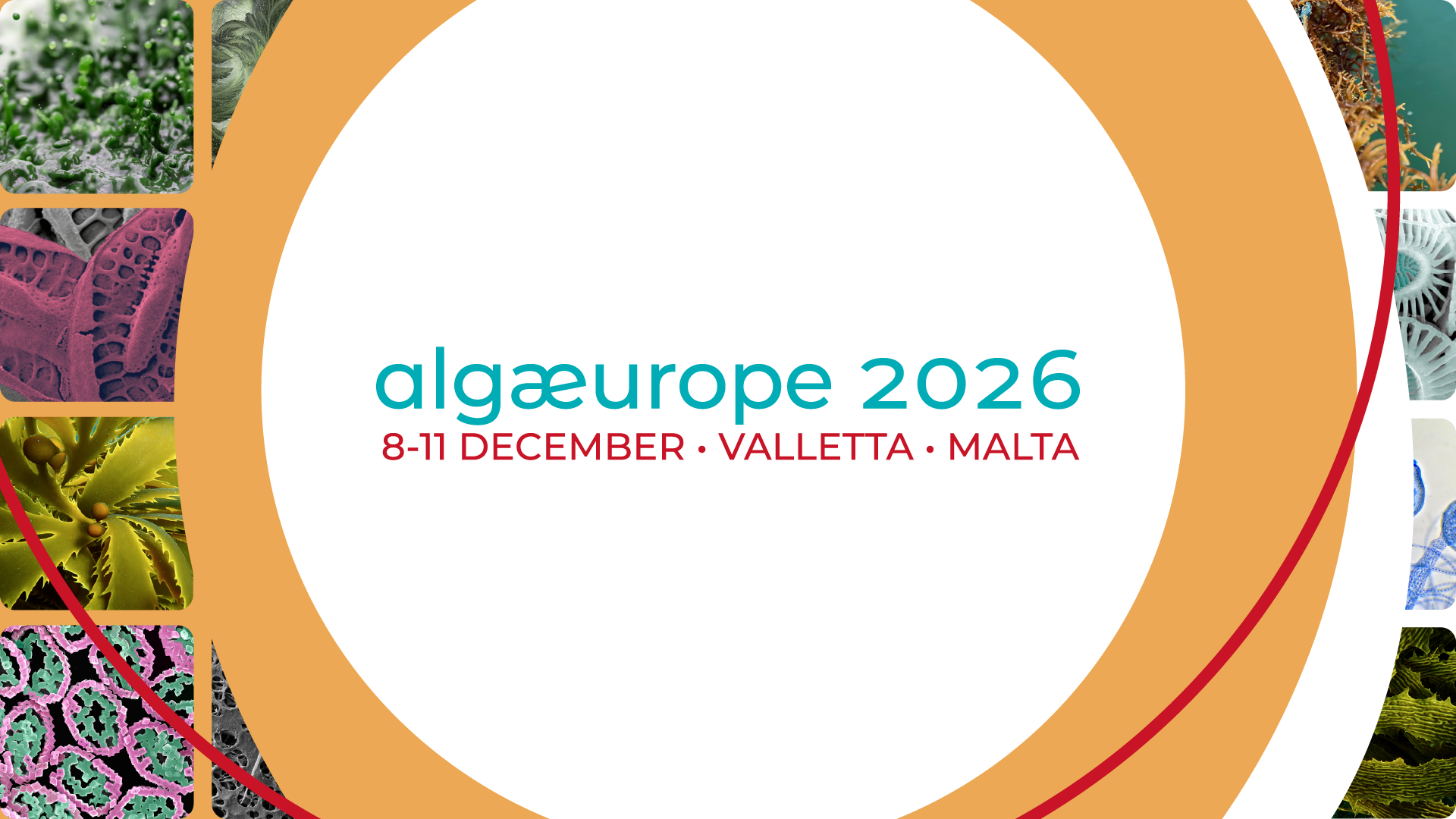 AlgaEurope 2026 – Conference about Science, Technology and Business in the Algae Biomass Sector